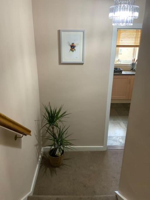 Home From Home, 3 Bedroom House In Hawick Exteriér fotografie